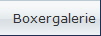 Boxergalerie