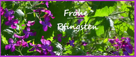 Pfingsten2024_1