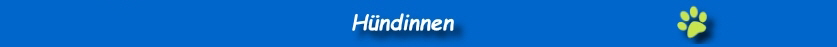 Hndinnenstart2