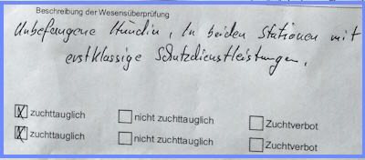 Tessa_ZTP_bew.