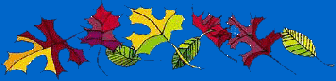 blatt_u_30 - Kopie7