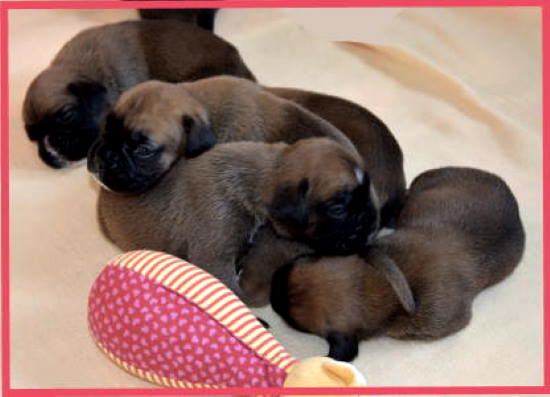 Kuschelrunde1
