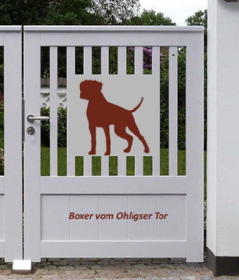 Boxertor5