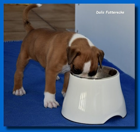 Dali_viertewo_2b