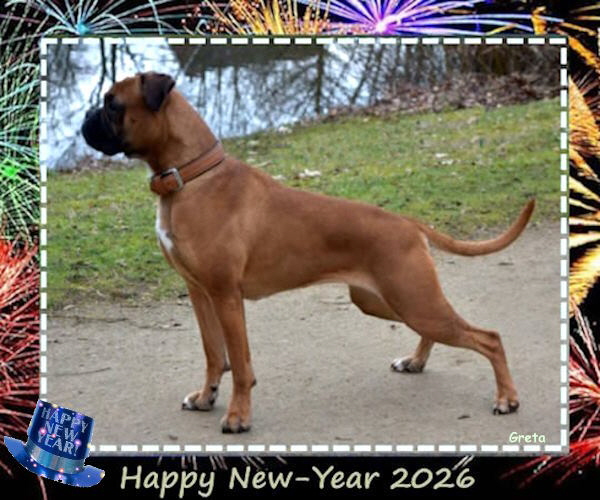 Silvester26_Titelweb1